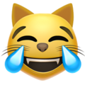 Эмодзи 😹 Кошачье лицо со слезами радости на Apple iOS