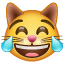 Эмодзи 😹 Кошачье лицо со слезами радости в месседжере WhatsApp