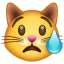 Эмодзи 😿 Плачущее кошачье лицо в месседжере WhatsApp