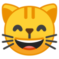 Эмодзи 😸 Улыбающееся лицо кота с добрыми глазами на Google Android