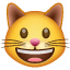 Эмодзи 😺 Улыбка кота в месседжере WhatsApp